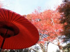 赏京都秋韵：庭园幽深 红叶古刹绝美如画-荣轩环