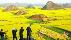 春天已经到来 油菜花海那么多该去哪？(图)-荣轩