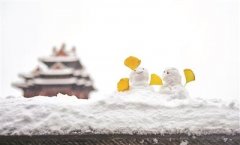 北京45年来同期最冷天气伴雪而至（组图）-荣轩