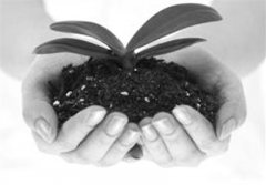 中国土壤治理将有“大动作”-荣尚热能